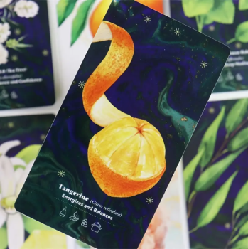 Preview: illustrierte Aromakarten